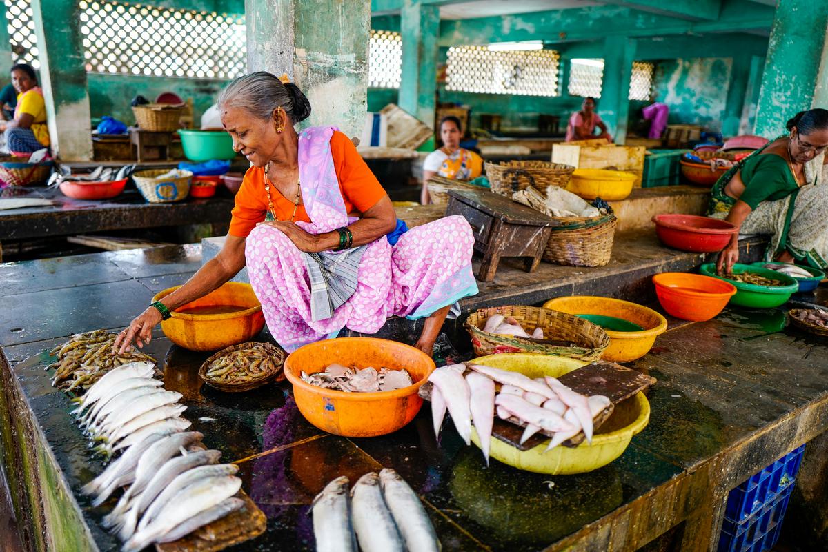 Unveiling India’s Enchanting Wonders: Top 5 Must-Visit Destinations